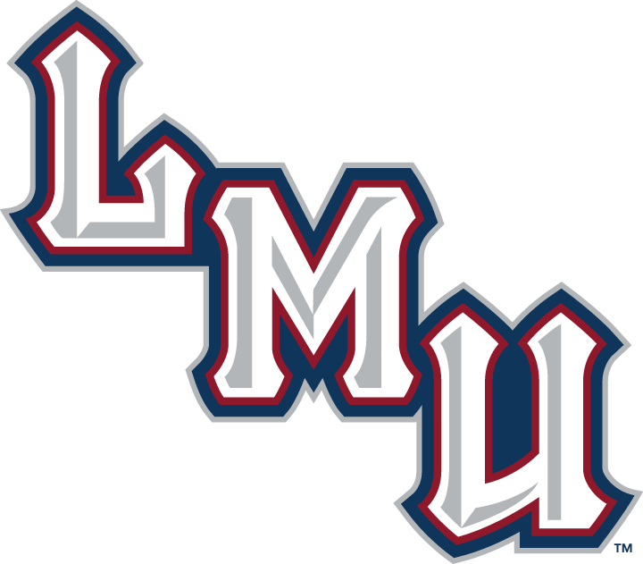 Loyola Marymount Lions 2001-Pres Wordmark Logo v2 diy DTF decal sticker